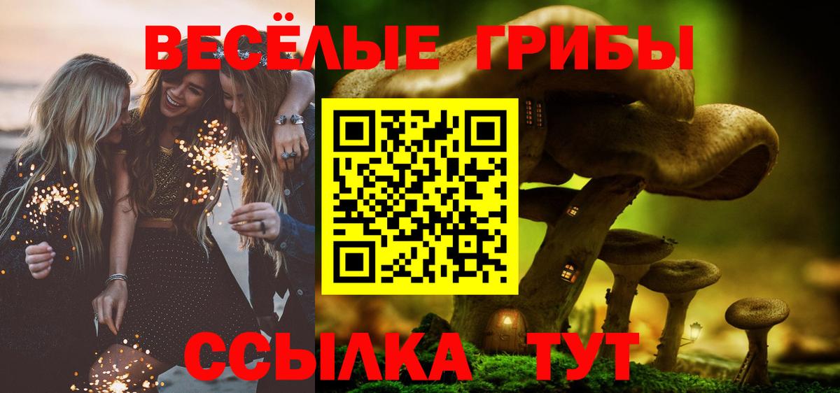 Псилоцибиновые грибы мухоморы  Псилоцибиновые грибы MAGIC MUSHROOMS  Геленджик  Вход с VPN 